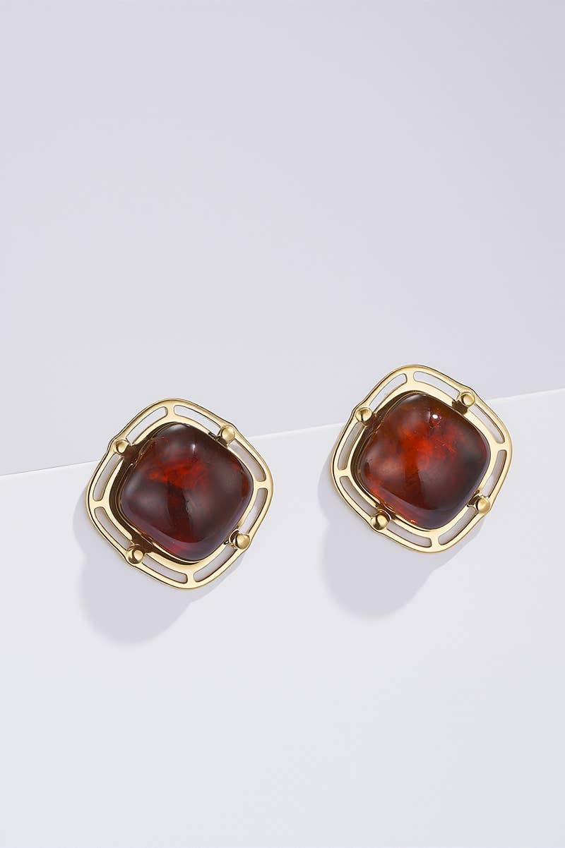 124RX252 stainless steel earrings
