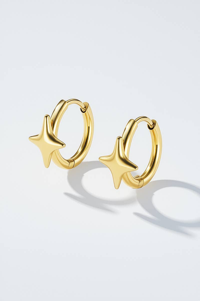 Stainless steel earrings 124RX159