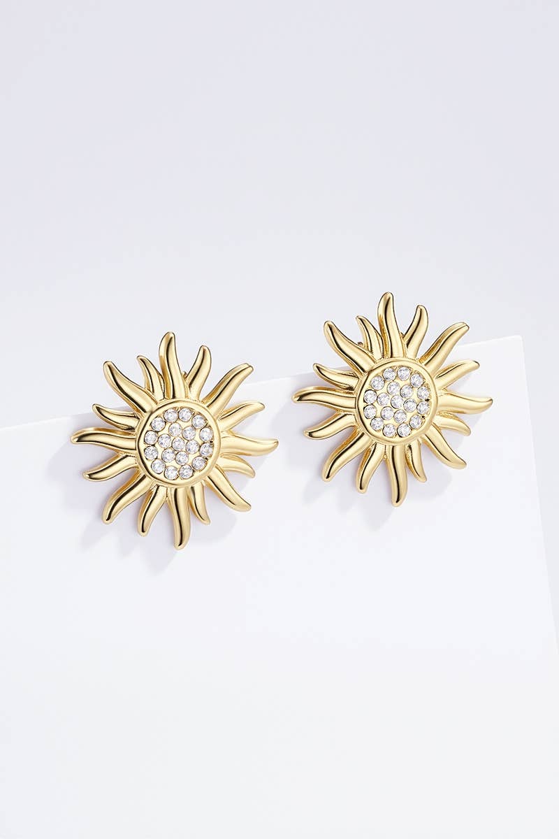 124AQ407 stainless steel earrings