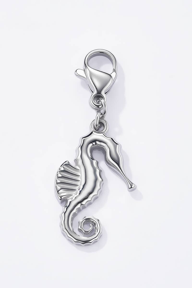Charm breloque en acier inoxydable CHARM105AQ