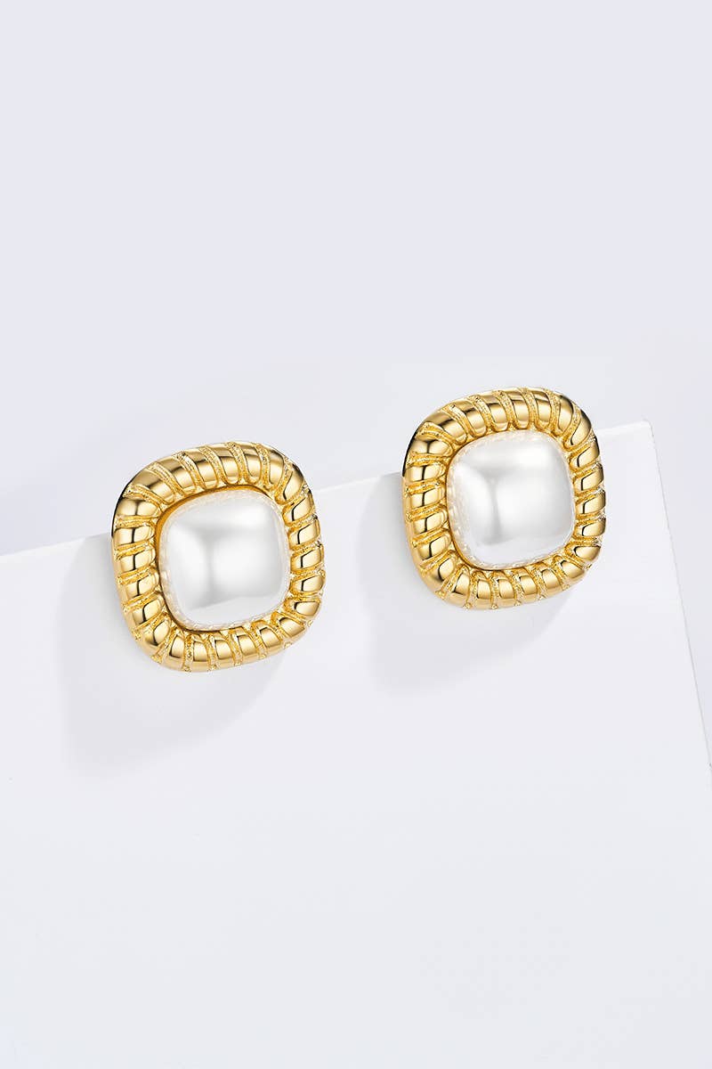 124AQ509 stainless steel earrings