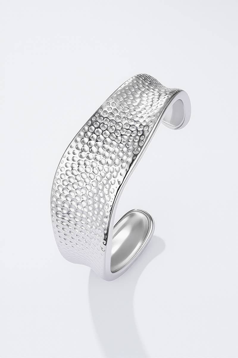 Stainless steel bangle bracelet 324AQ253
