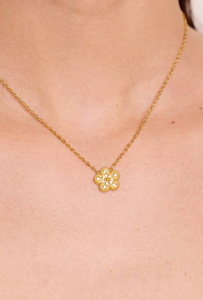 Stainless steel necklace 224CA13