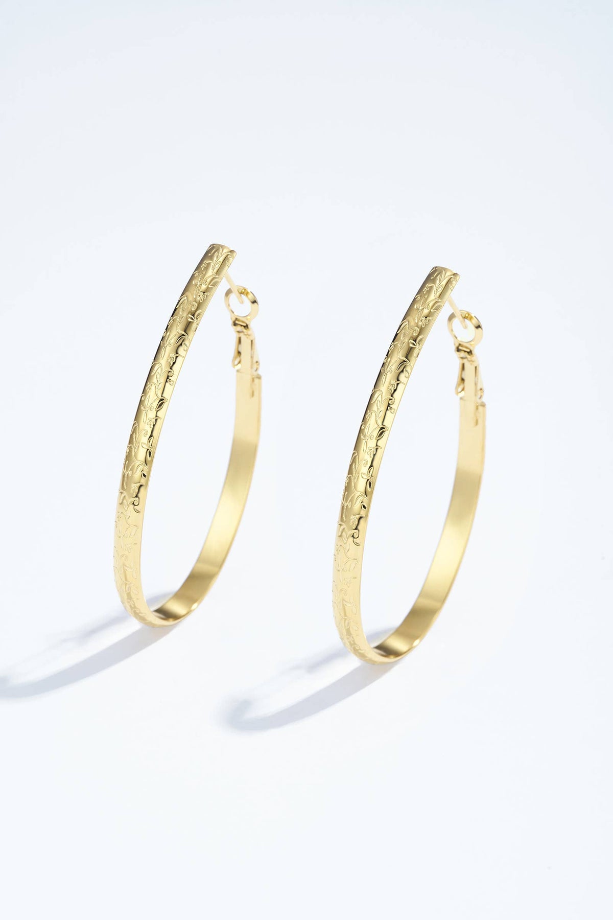 124AQ361 stainless steel earrings