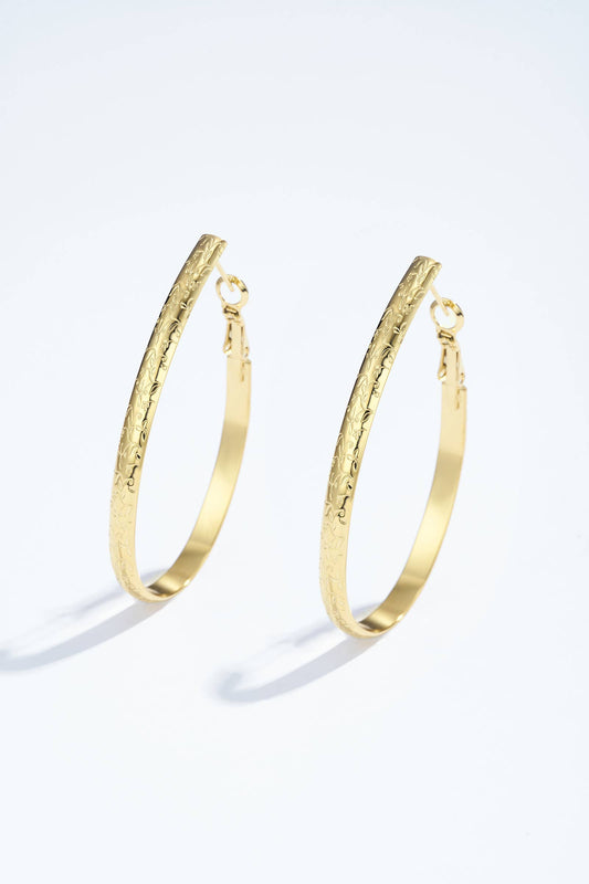 124AQ361 stainless steel earrings