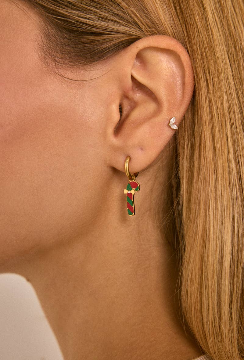 Boucles d'oreilles en acier inoxydable 124RX220