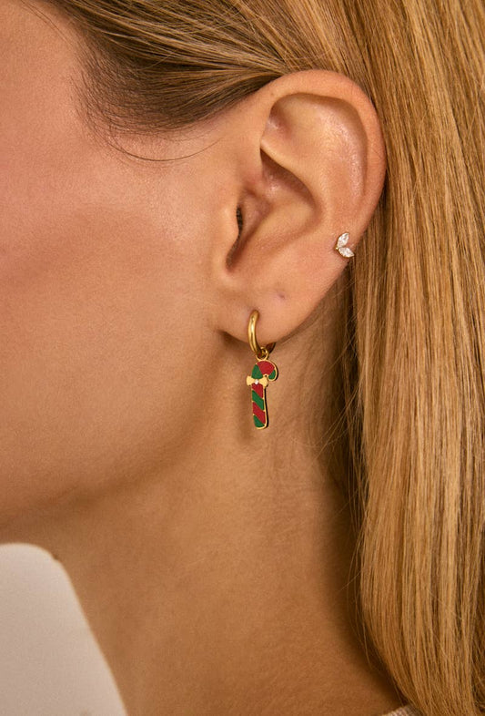 Boucles d'oreilles en acier inoxydable 124RX220