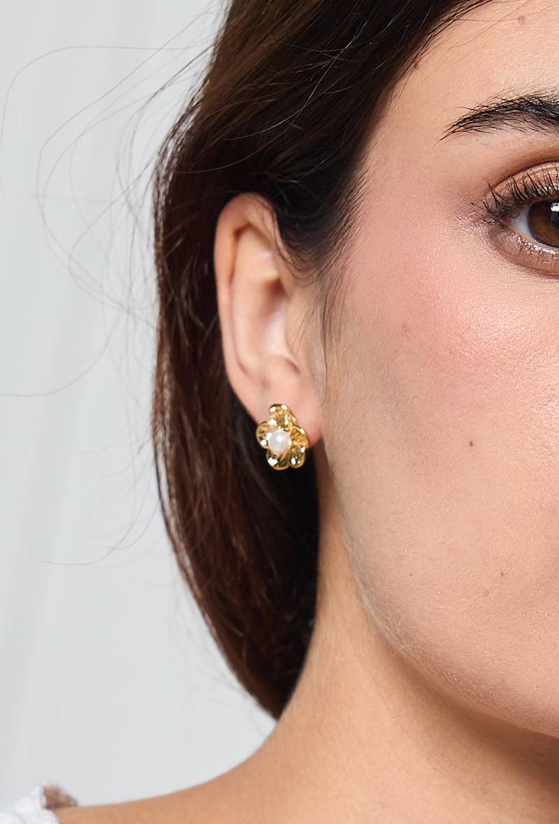 Stainless steel earrings 124AQ308