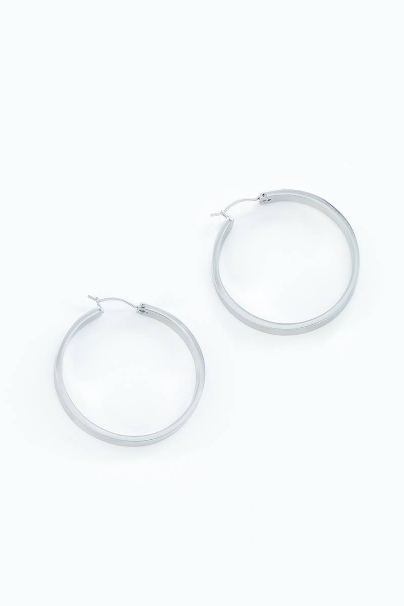 Stainless steel earrings 124AQ276