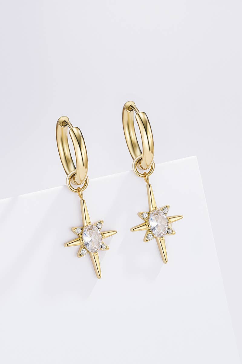 Stainless steel earrings 124AQ501