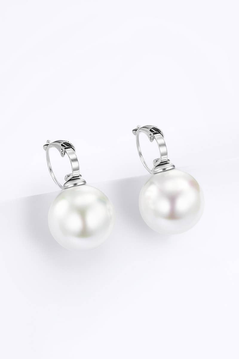 Stainless steel earrings 124AQ389