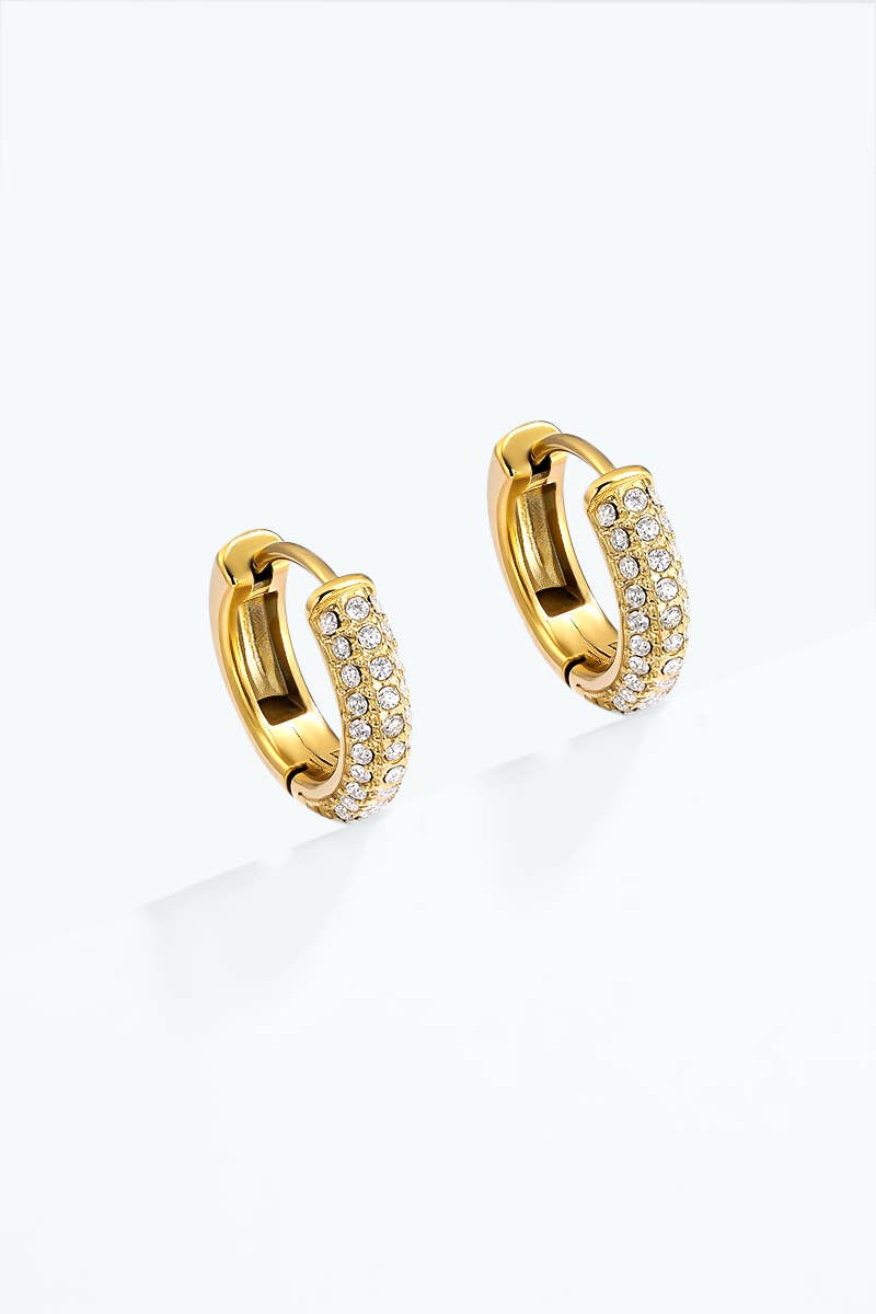 124AQ791 stainless steel earrings