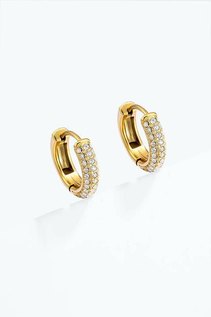 124AQ791 stainless steel earrings