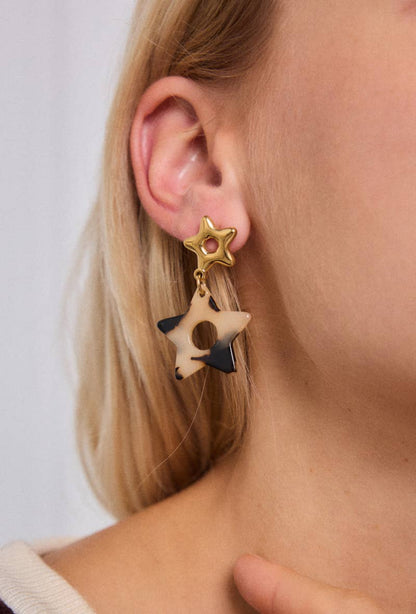 Stainless steel earrings 124RX193