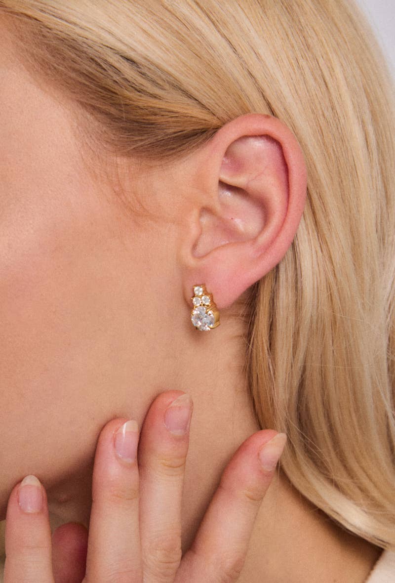 Boucles d'oreilles en acier inoxydable 124RX205