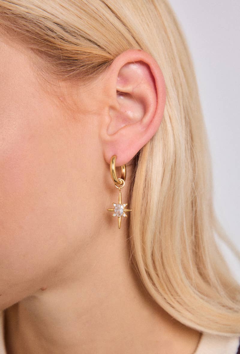 Stainless steel earrings 124AQ501
