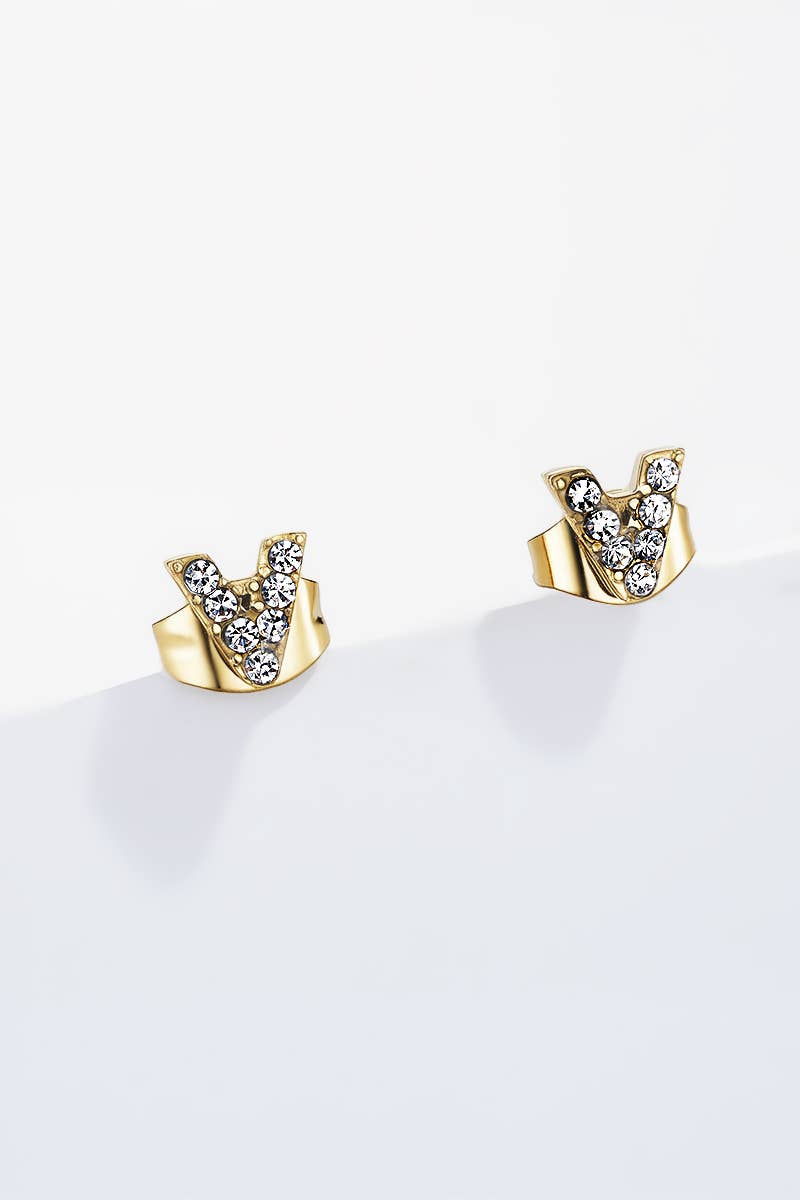 Boucles d'oreille en acier inoxydable 124RX136