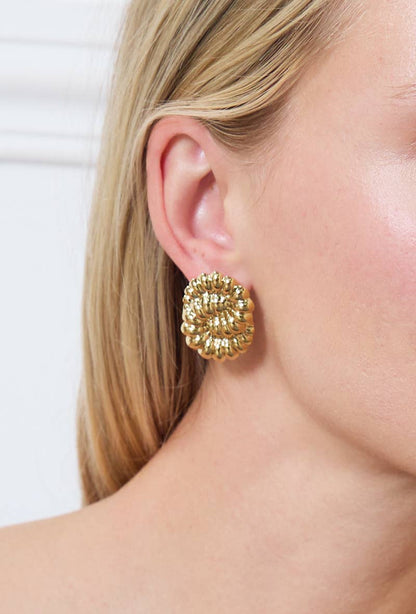 Stainless steel earrings 124AQ252