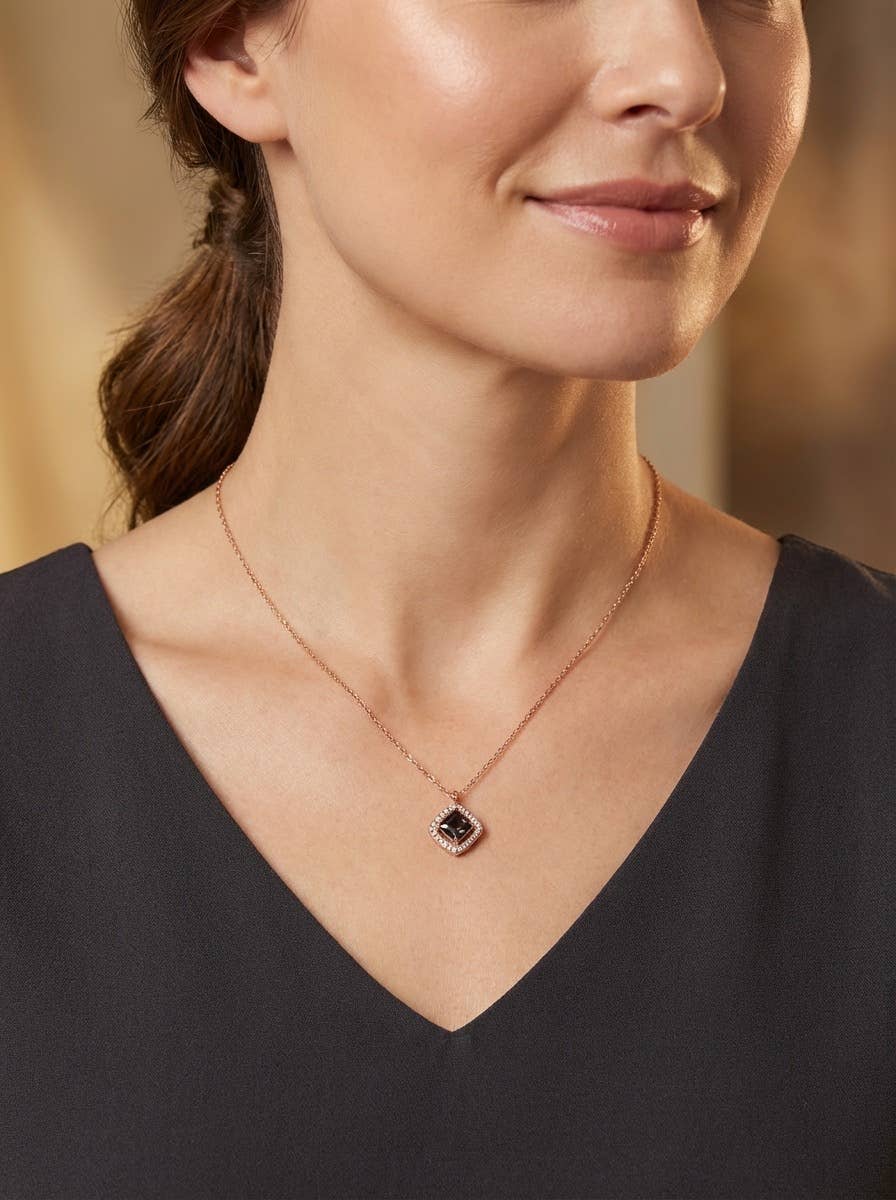 Colliers en acier inoxydable 224RX90