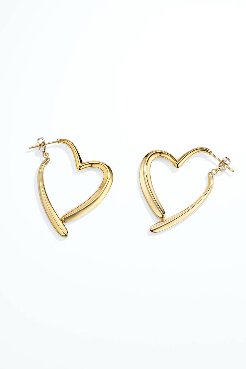 Stainless steel earrings 124AQ648