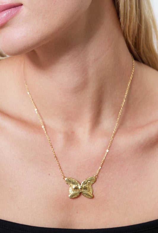 Collier en acier inoxydable 224AQ71