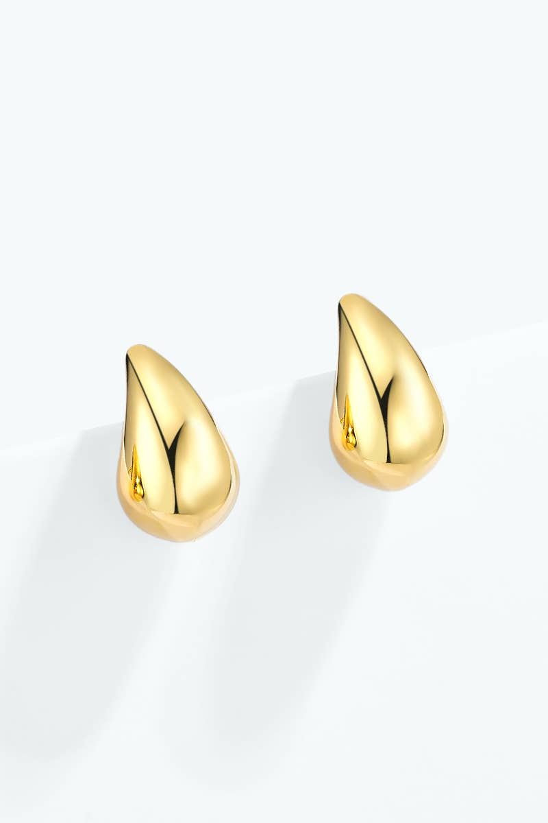 Boucles d'oreilles en acier inoxydable 124AQ691