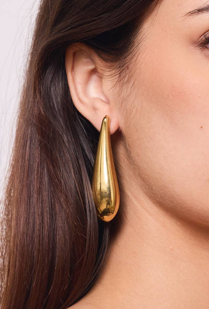 Stainless steel earrings 124RX114