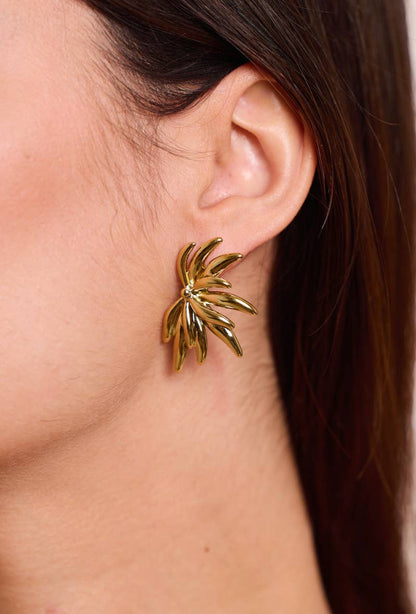 Stainless steel earrings 124AQ373
