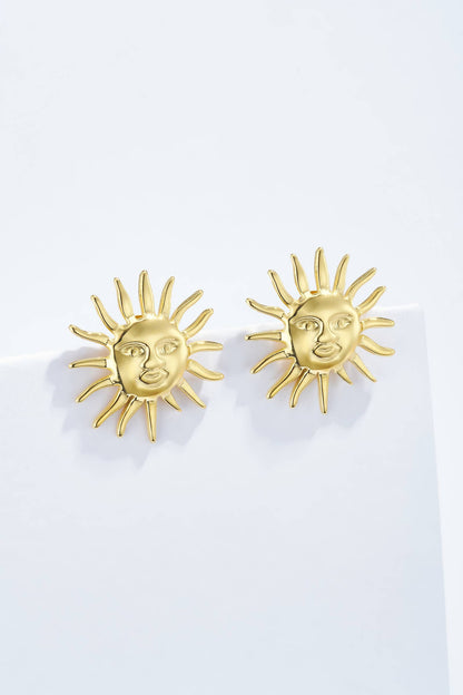 124AQ428 stainless steel earrings