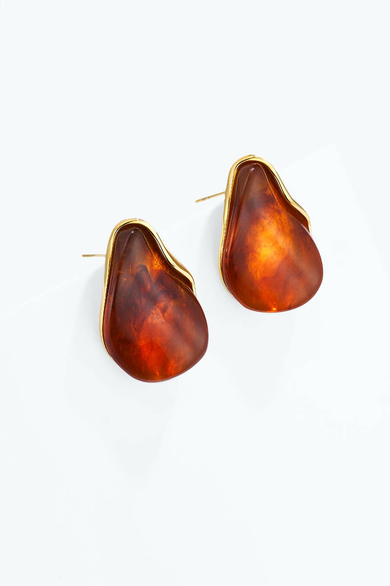 Stainless steel earrings 124AQ769