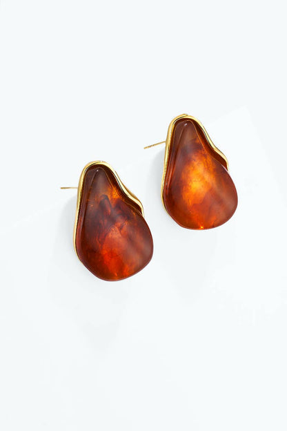 Stainless steel earrings 124AQ769