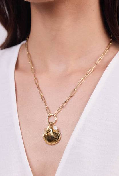 Collier en acier inoxydable 224AQ120