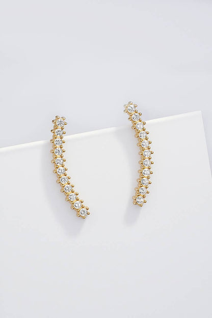 Stainless steel earrings 124RX209