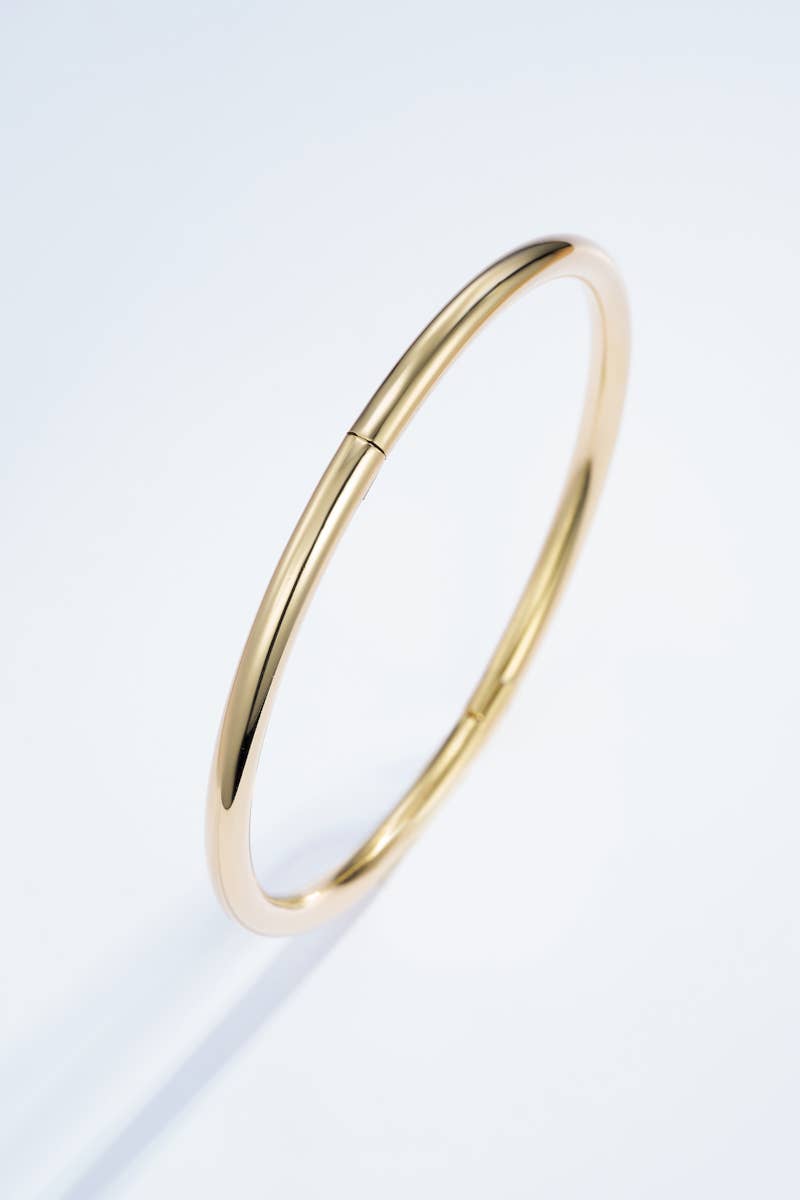 Bracelet jonc en acier inoxydable 324AQ36