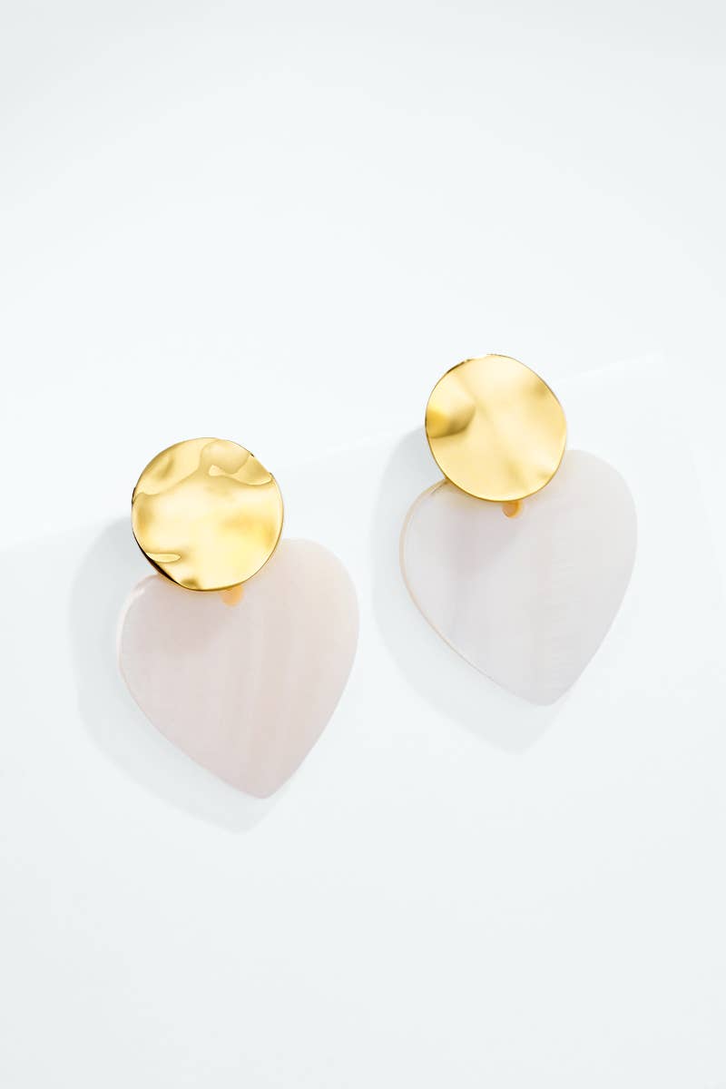 Stainless steel earrings 124RX329