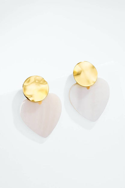 Stainless steel earrings 124RX329