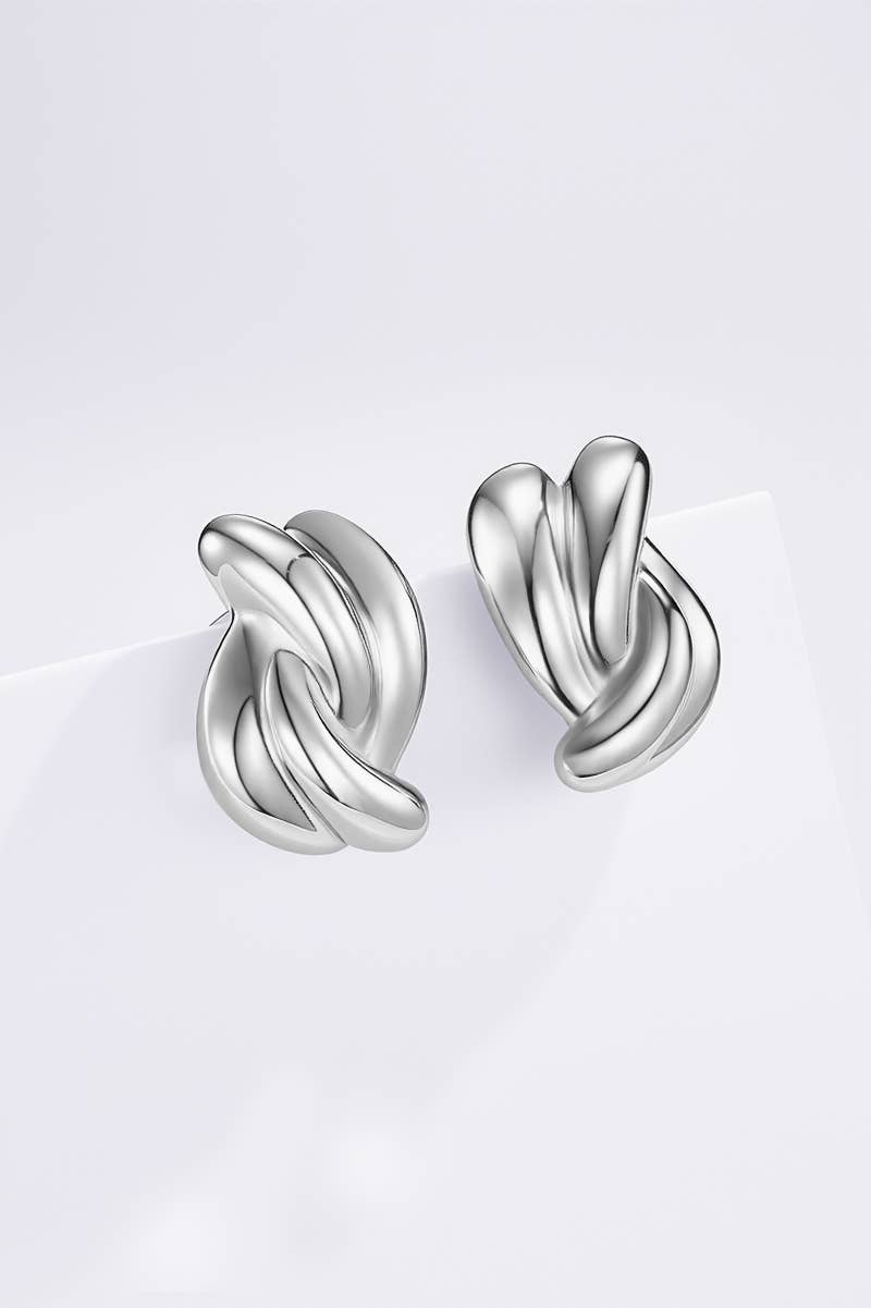 Stainless steel earrings 124AQ502