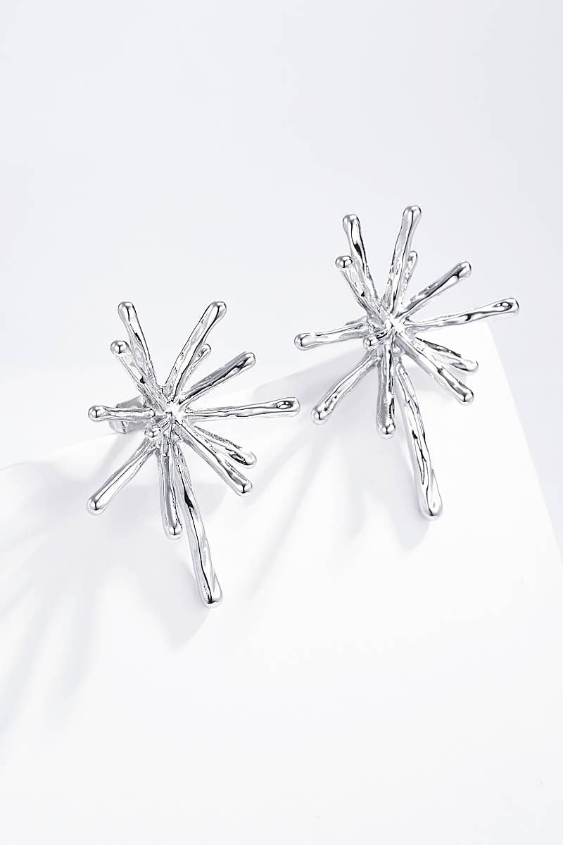 Boucles d'oreilles en acier inoxydable 124AQ258