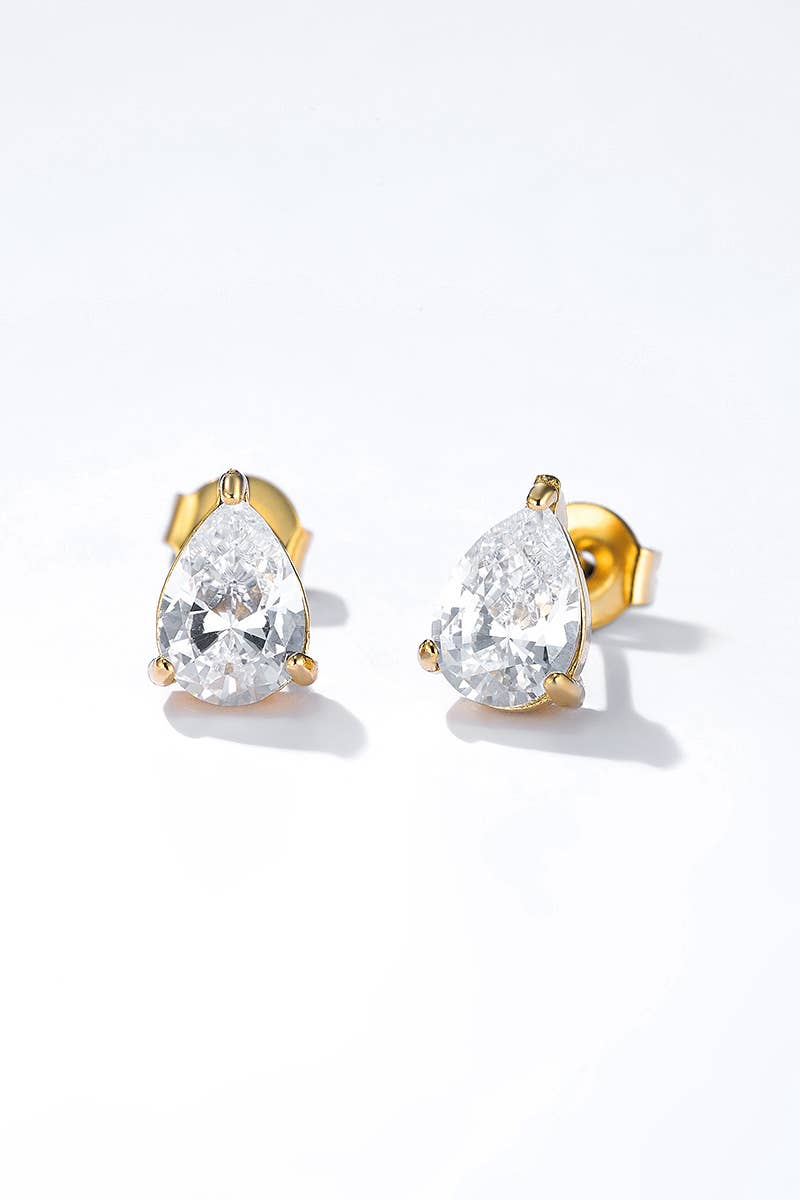 Stainless steel earrings 124AQ395