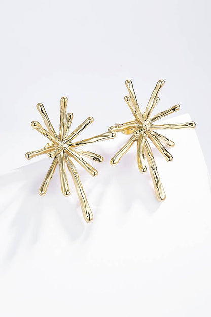 Boucles d'oreilles en acier inoxydable 124AQ258