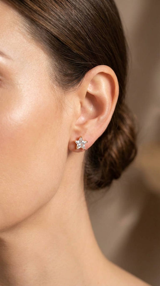 Boucles d'oreille en acier inoxydable 124AQ551