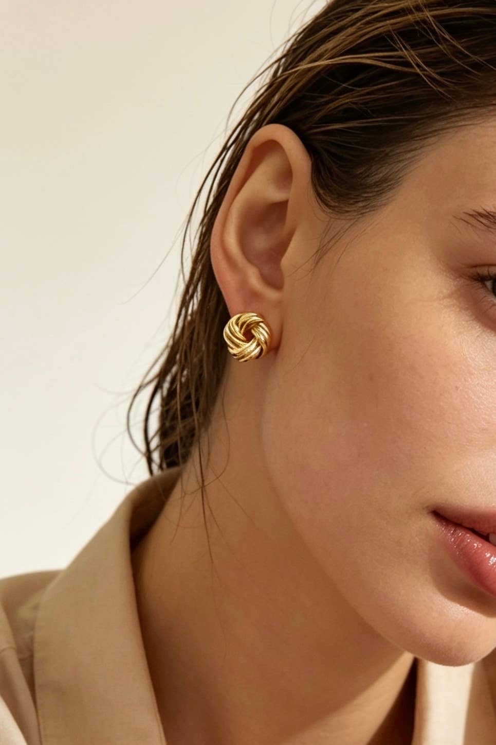 Stainless steel earrings 124AQ698