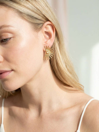 Stainless steel earrings 124RX259