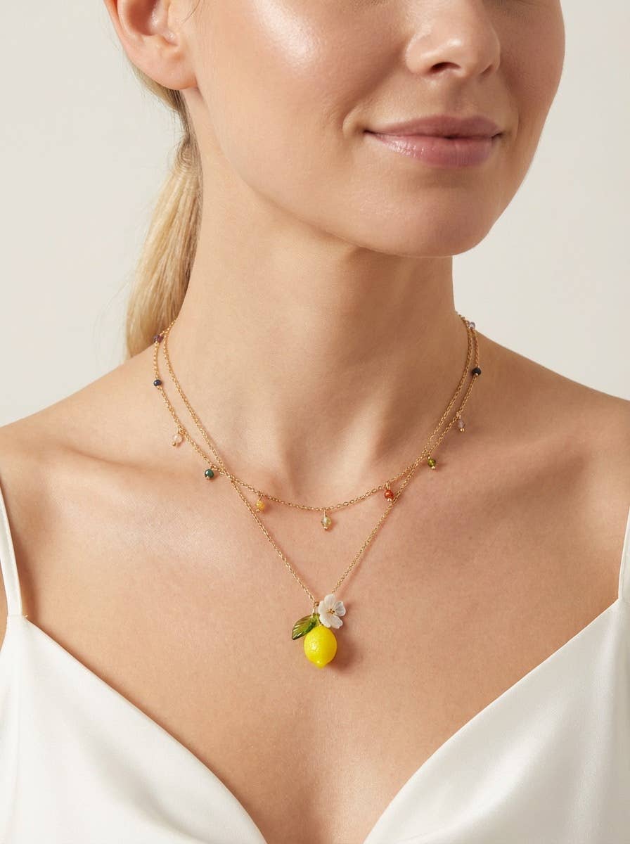 Collier chaîne en acier inoxydable 224AQ265