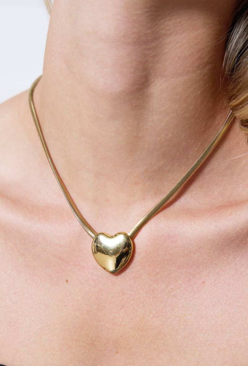 Collier en acier inoxydable 224AQ56