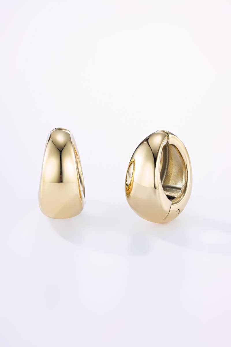Stainless steel clip-on earrings 124AQ356