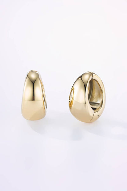 Stainless steel clip-on earrings 124AQ356