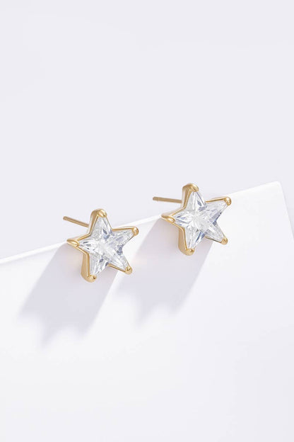 Stainless steel earrings 124AQ551