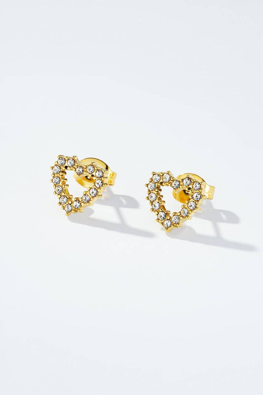 Stainless steel earrings 124RX150