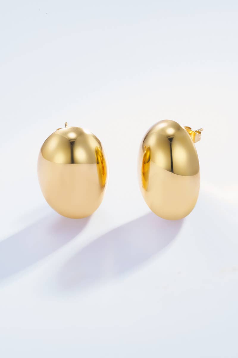Boucles d'oreilles puces en acier inoxydable 124AQ91